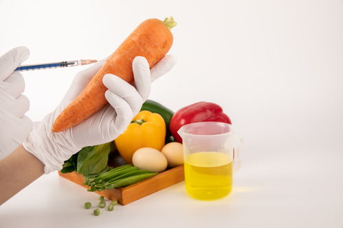 胡萝卜食品安全农业科技食品培育摄影图 插画 下载至来源处