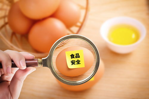 过期食品几天内免罚款