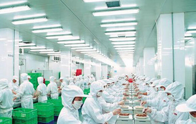 食品加工包装行业发展迅猛