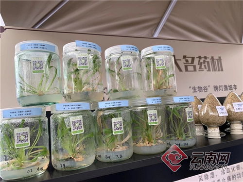 绿色食品牌码 打造云品绿色发展 县域经济 昆明频道